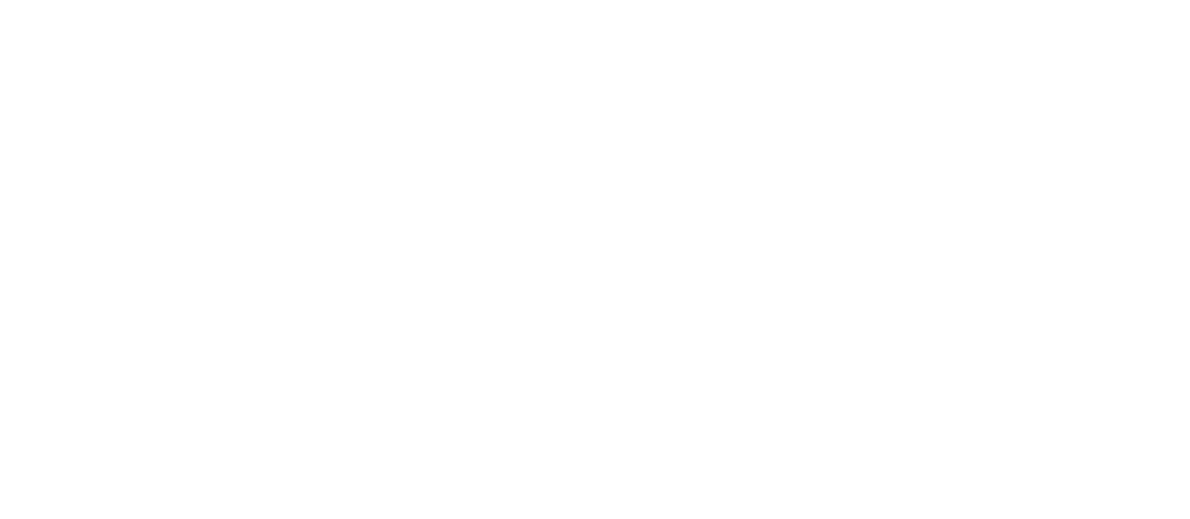 DAR Roofing Amica